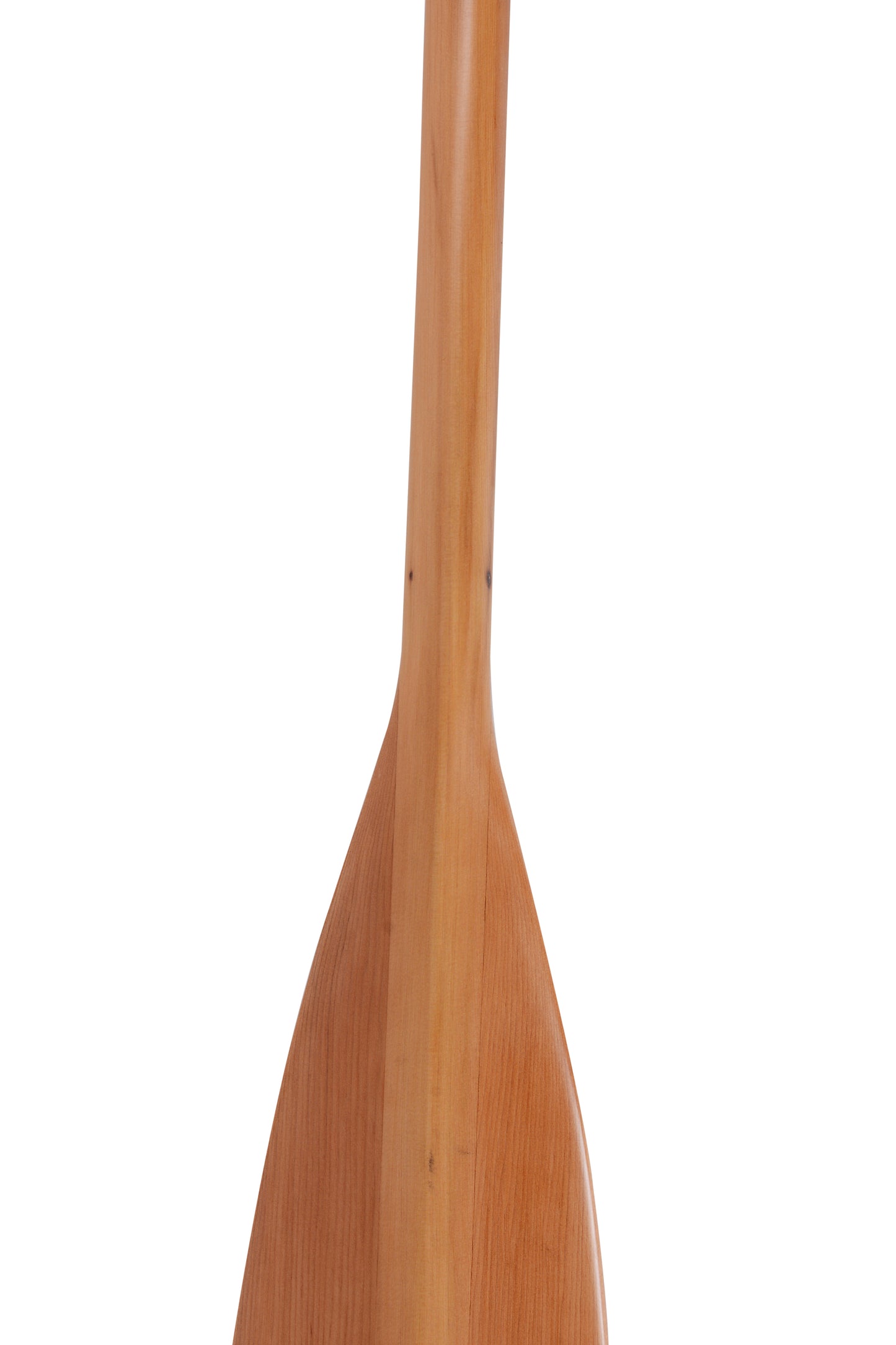 Paddle of Canoe 7' -12'